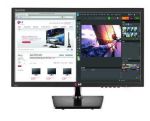 Monitor LCD 19,5” LED LG 20EN33SS-B